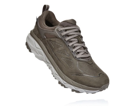 Botasky Hoka One One Challenger Low GORE-TEX Damske Hnede (18QIRPKAS)